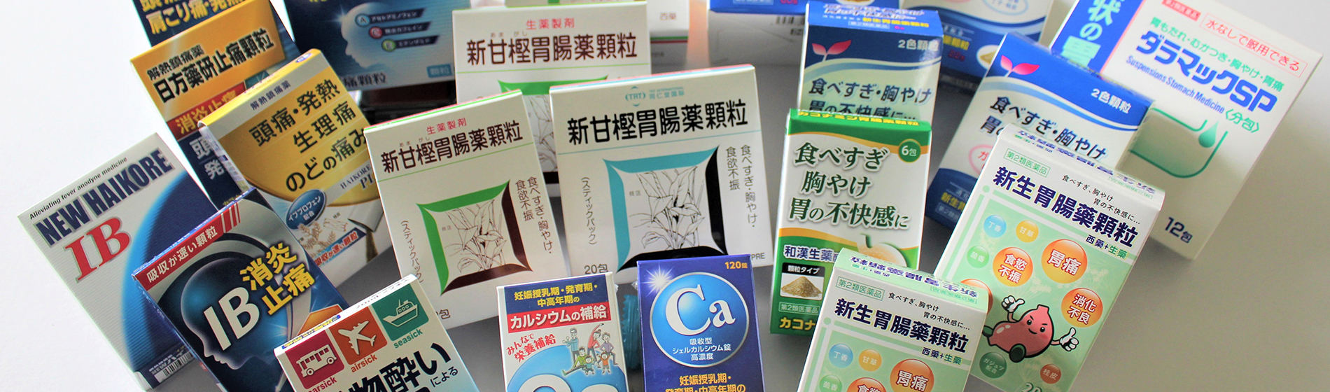 医薬品国内販売事業
